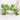 Turtle Plush Toy