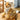 Tiger Plush Toy