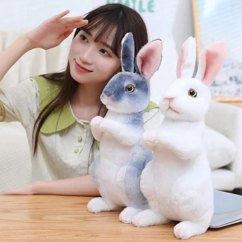 Cute Plush Rabbits
