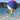Jumbo PVC Fun Ball
