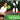 Lightweight Pickleball Set
