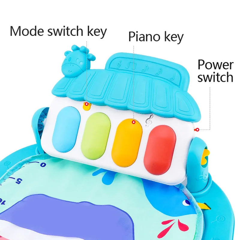 Musical Toy & Activity Mat