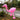 Beach Bash Balloon Toy Set
